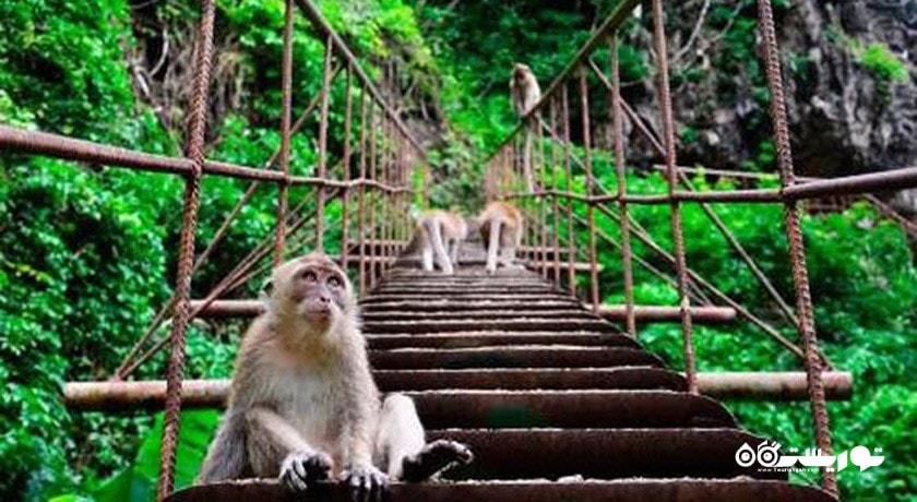 سرگرمی پارک ملی دریایی سیرینات شهر تایلند کشور پوکت