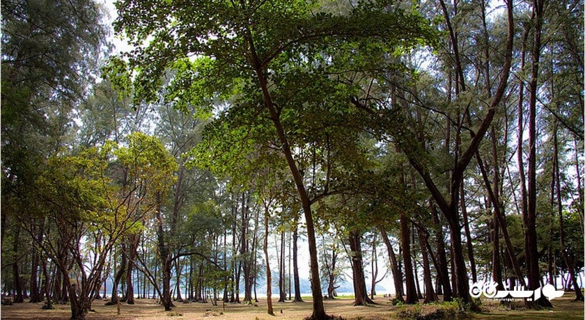 سرگرمی پارک ملی دریایی سیرینات شهر تایلند کشور پوکت