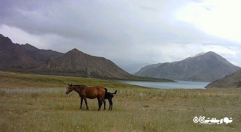 سد لار شهرستان مازندران استان آمل