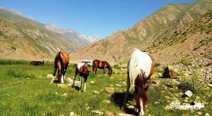  دشت نمارستاق  شهرستان مازندران استان آمل
