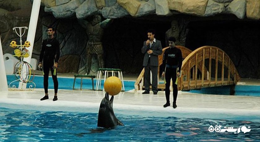 پارک دلفین کیش -  شهر هرمزگان