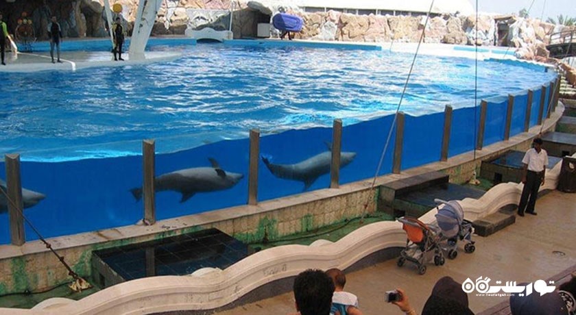 پارک دلفین کیش -  شهر هرمزگان