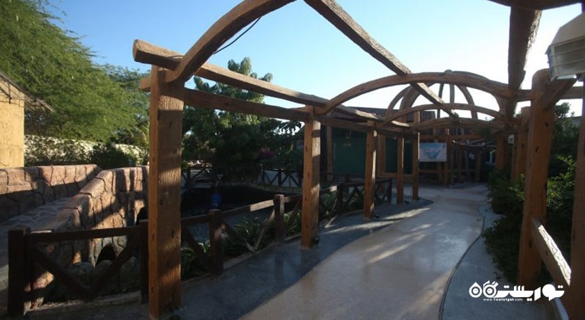 رستوران ساحلی شاندیز صفدری کیش -  شهر کیش