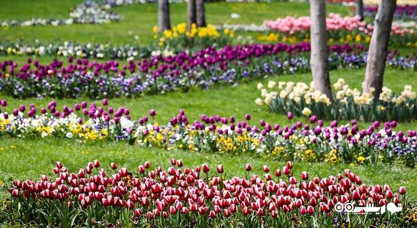  پارک ملت مشهد شهرستان خراسان رضوی استان مشهد