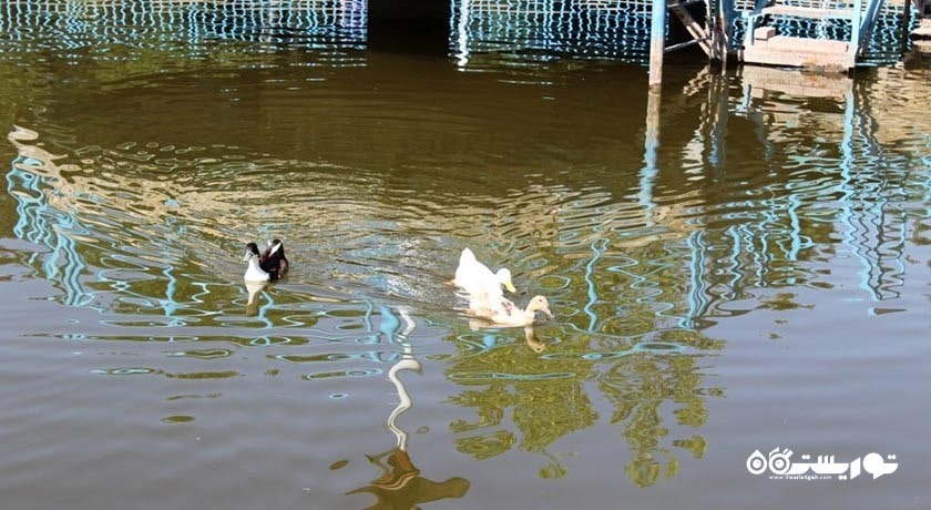 پارک پردیس قائم -  شهر خراسان رضوی