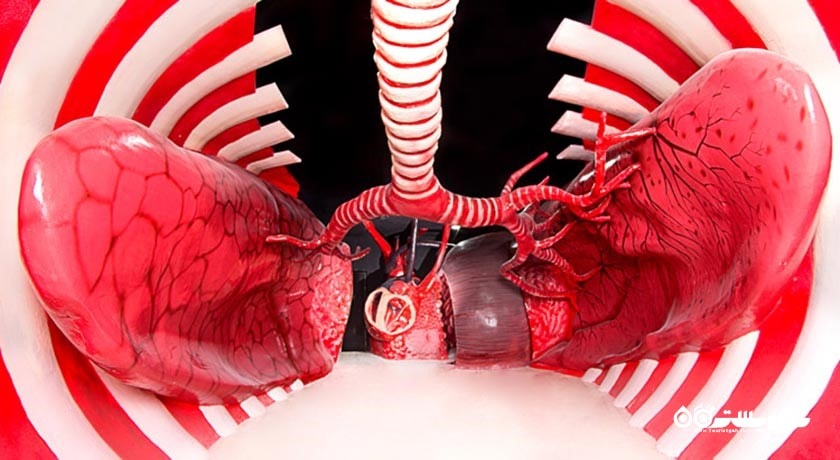 پارک علمی پروفسور بازیما -  شهر مشهد