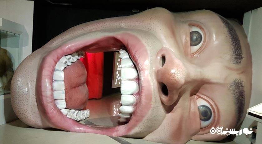 پارک علمی پروفسور بازیما -  شهر مشهد