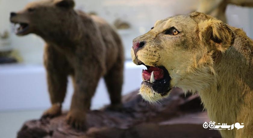 پارک علمی پروفسور بازیما -  شهر مشهد