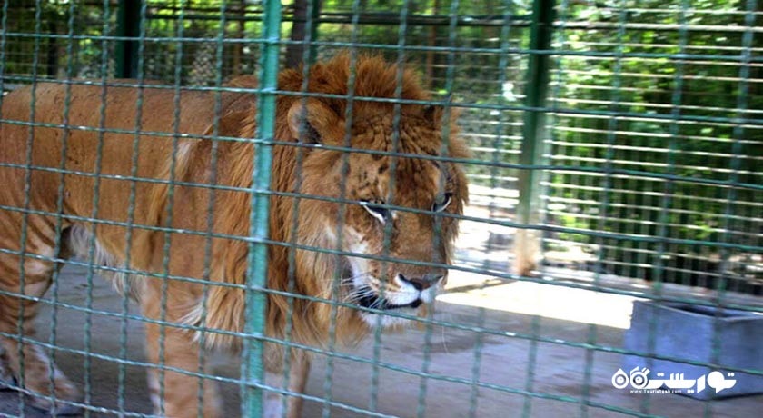  باغ وحش وکیل آباد شهر خراسان رضوی استان مشهد