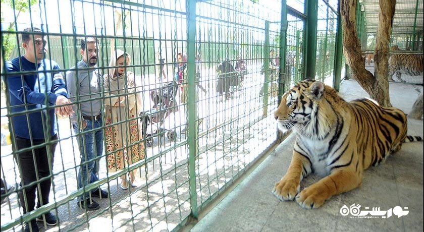  باغ وحش وکیل آباد شهر خراسان رضوی استان مشهد