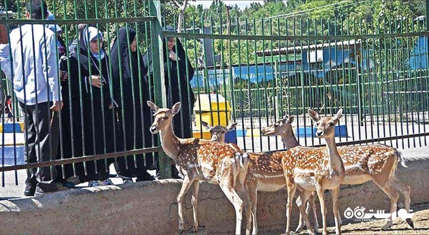  باغ وحش وکیل آباد شهر خراسان رضوی استان مشهد