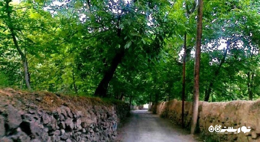 روستای نغندر -  شهر طرقبه