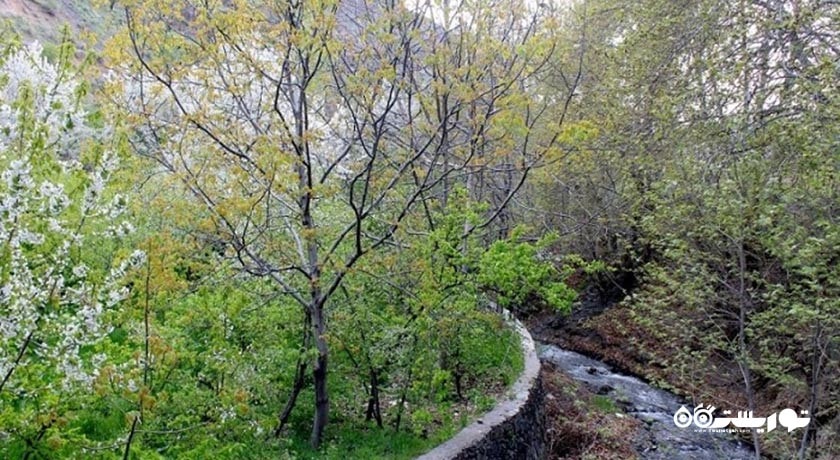 روستای نغندر -  شهر طرقبه