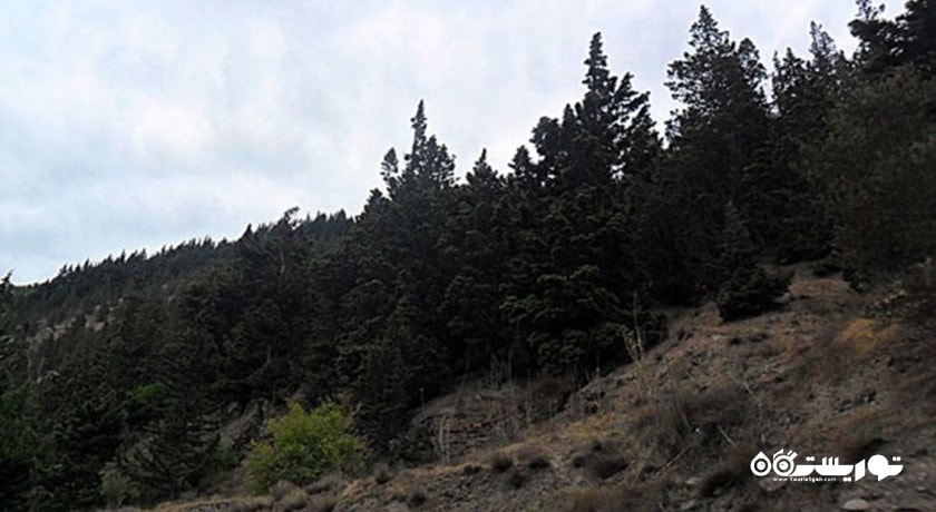  روستای گلستان شهرستان خراسان رضوی استان مشهد