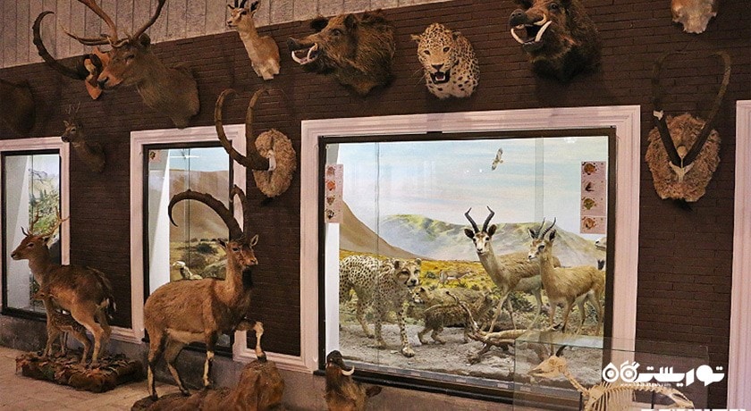 موزه علوم و تاریخ طبیعی خراسان -  شهر خراسان رضوی