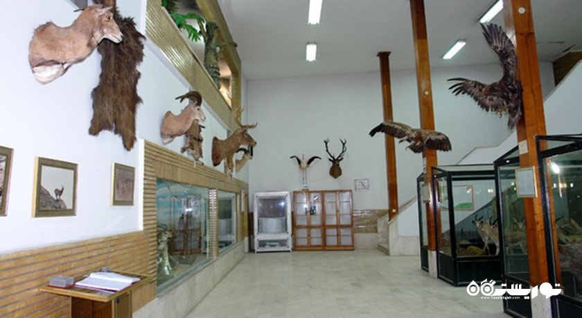 موزه علوم و تاریخ طبیعی خراسان -  شهر خراسان رضوی