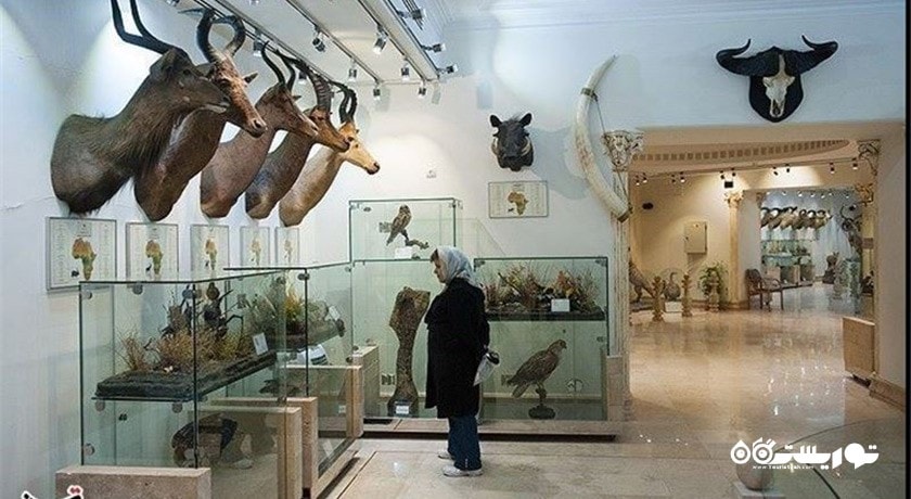  موزه علوم و تاریخ طبیعی خراسان شهرستان خراسان رضوی استان مشهد