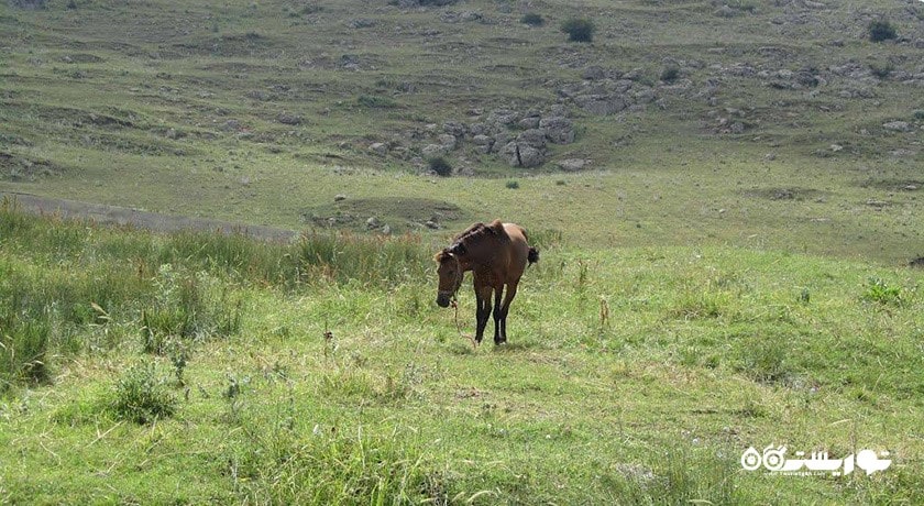 روستای آتشگاه سرعین -  شهر سرعین