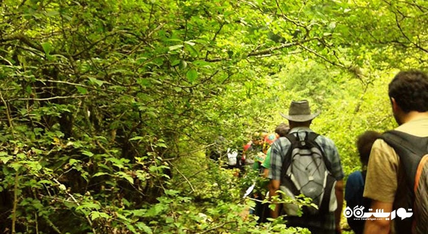  چشمه پراو شهرستان مازندران استان پل سفید