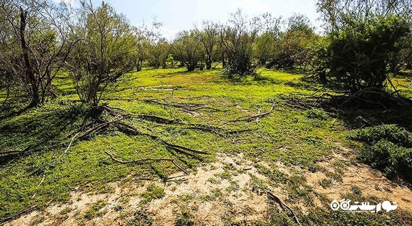 پارک ملی کرخه -  شهر خوزستان