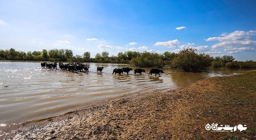 پارک ملی کرخه -  شهر خوزستان