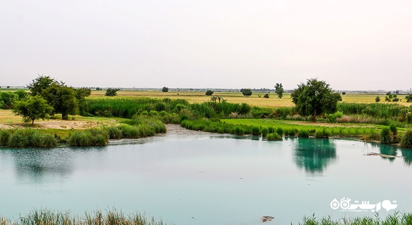 رودخانه شاوور کجاست - شهرستان شوش، استان خوزستان - توریستگاه