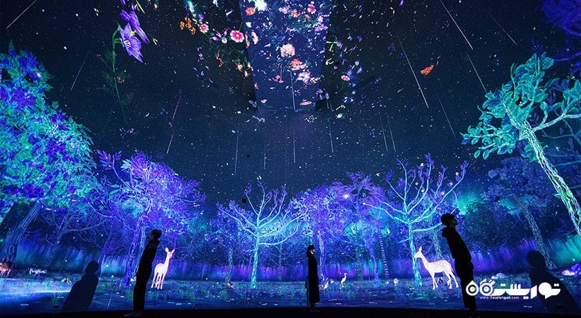 موزه ملی سنگاپور -  شهر سنگاپور