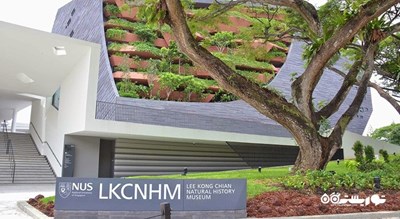  موزه تاریخ طبیعی لی کونگ چیان شهر سنگاپور کشور سنگاپور