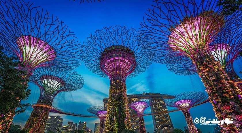 سرگرمی باغ های خلیج سنگاپور شهر سنگاپور کشور سنگاپور
