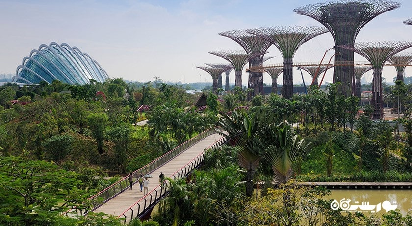 سرگرمی باغ های خلیج سنگاپور شهر سنگاپور کشور سنگاپور