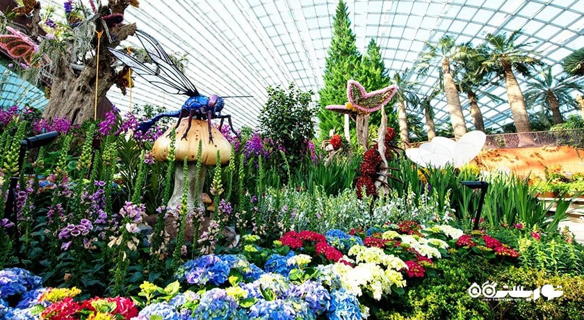 سرگرمی باغ های خلیج سنگاپور شهر سنگاپور کشور سنگاپور