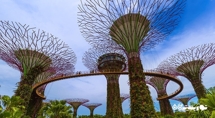 سرگرمی باغ های خلیج سنگاپور شهر سنگاپور کشور سنگاپور