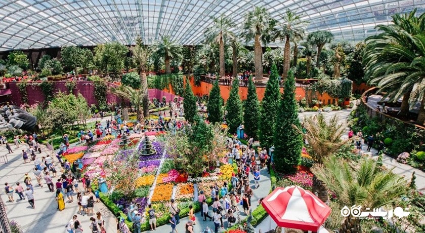 سرگرمی باغ های خلیج سنگاپور شهر سنگاپور کشور سنگاپور