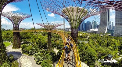 سرگرمی باغ های خلیج سنگاپور شهر سنگاپور کشور سنگاپور