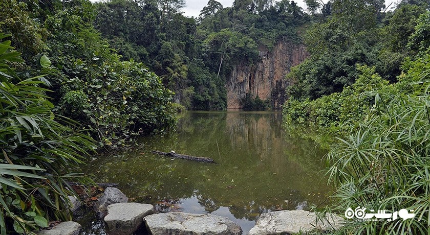 سرگرمی منطقه حفاظت شده بوکیت تیماه شهر سنگاپور کشور سنگاپور
