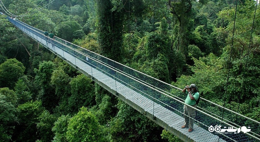 سرگرمی منطقه حفاظت شده بوکیت تیماه شهر سنگاپور کشور سنگاپور