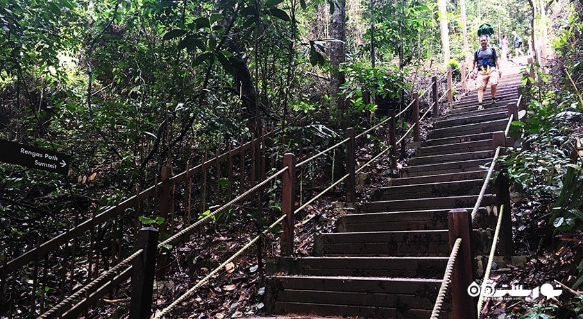 سرگرمی منطقه حفاظت شده بوکیت تیماه شهر سنگاپور کشور سنگاپور