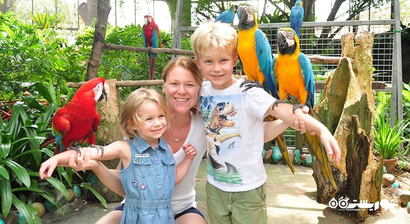 سرگرمی پارک پروانه ها و قلمرو حشرات شهر سنگاپور کشور سنگاپور