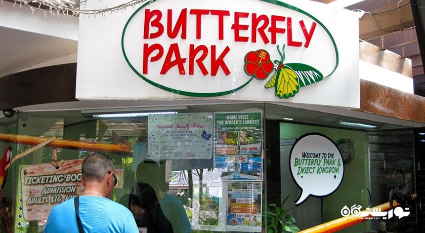 سرگرمی پارک پروانه ها و قلمرو حشرات شهر سنگاپور کشور سنگاپور