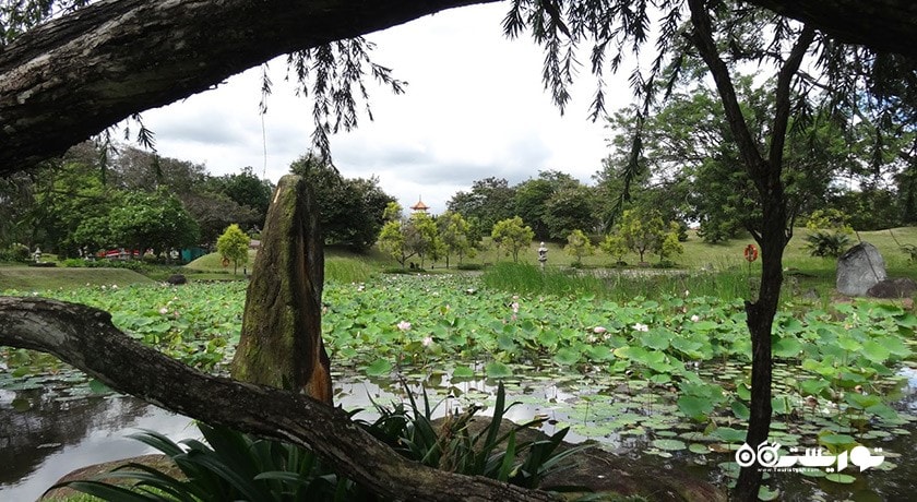 سرگرمی باغ چینی و باغ ژاپنی سنگاپور شهر سنگاپور کشور سنگاپور