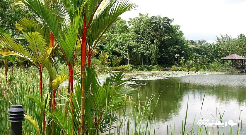 سرگرمی باغ چینی و باغ ژاپنی سنگاپور شهر سنگاپور کشور سنگاپور