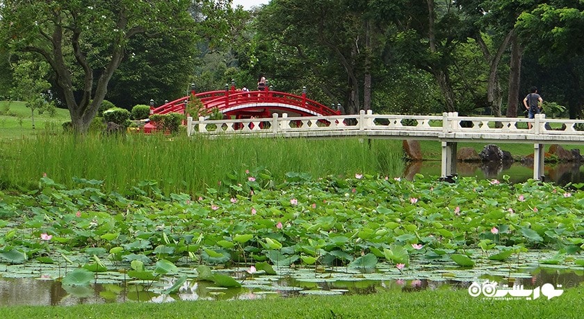 سرگرمی باغ چینی و باغ ژاپنی سنگاپور شهر سنگاپور کشور سنگاپور