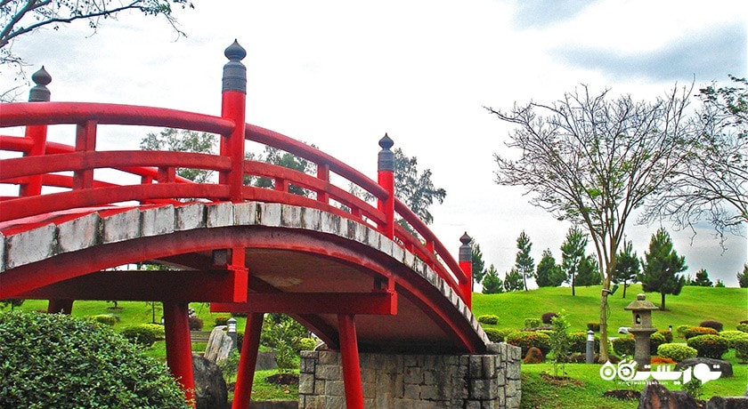 سرگرمی باغ چینی و باغ ژاپنی سنگاپور شهر سنگاپور کشور سنگاپور