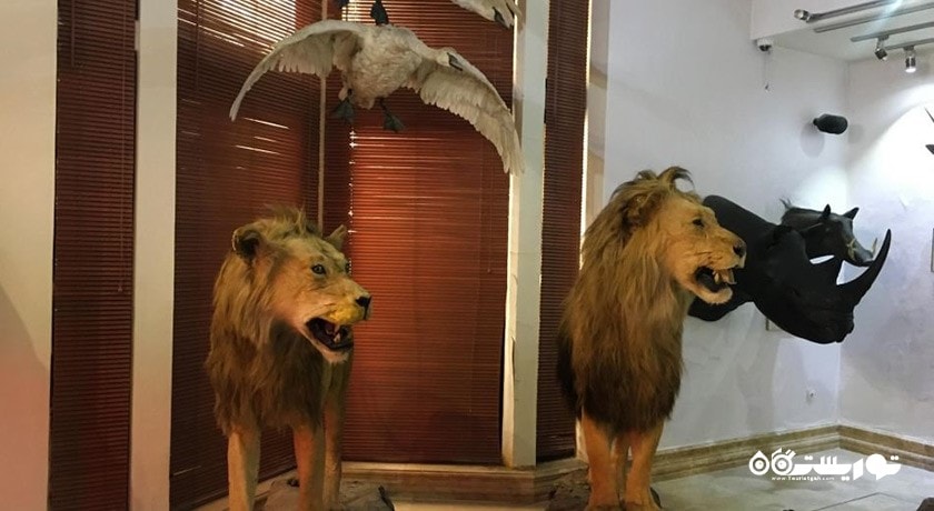  موزه طبیعت و حیات وحش دارآباد شهرستان تهران استان تهران