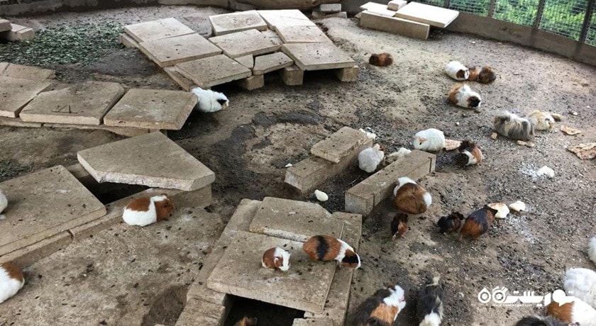  موزه طبیعت و حیات وحش دارآباد شهرستان تهران استان تهران