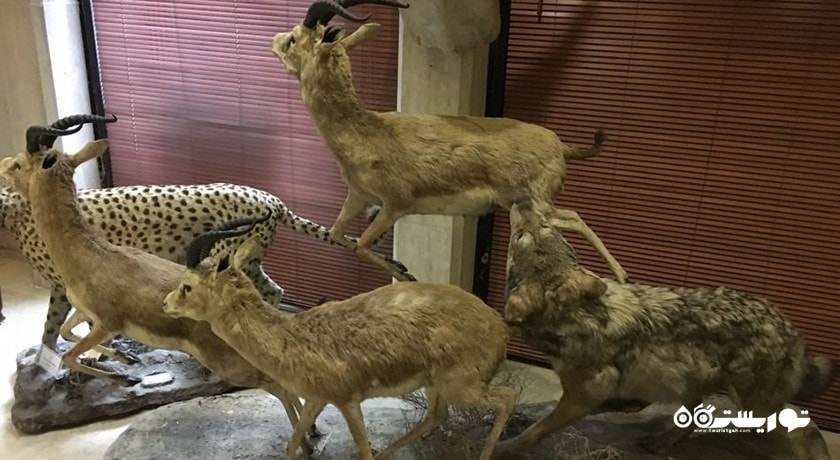  موزه طبیعت و حیات وحش دارآباد شهرستان تهران استان تهران