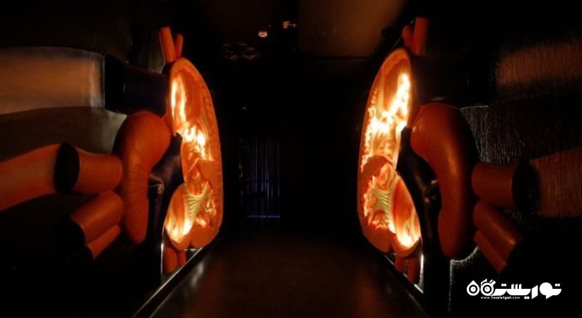  هیومن پارک شهرستان تهران استان تهران