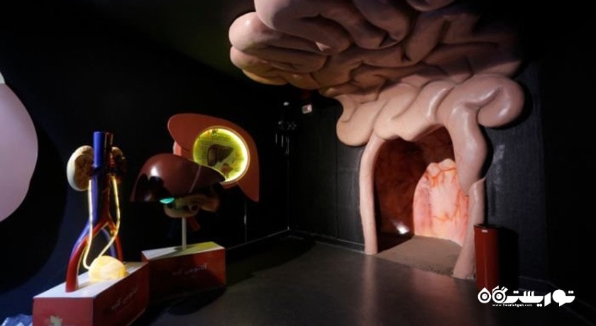  هیومن پارک شهرستان تهران استان تهران