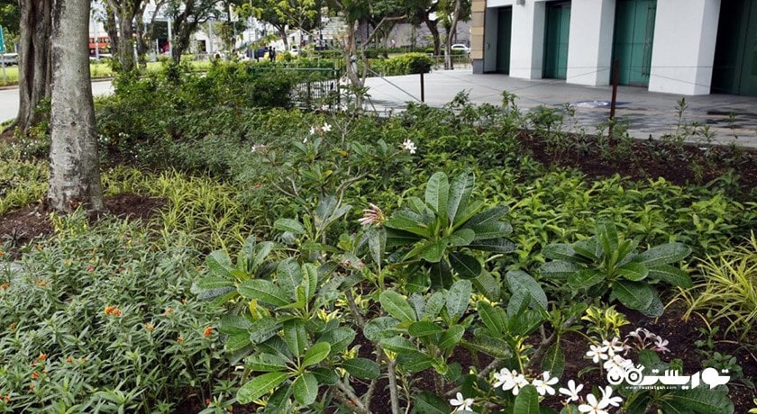 سرگرمی فورت کانینگ پارک شهر سنگاپور کشور سنگاپور