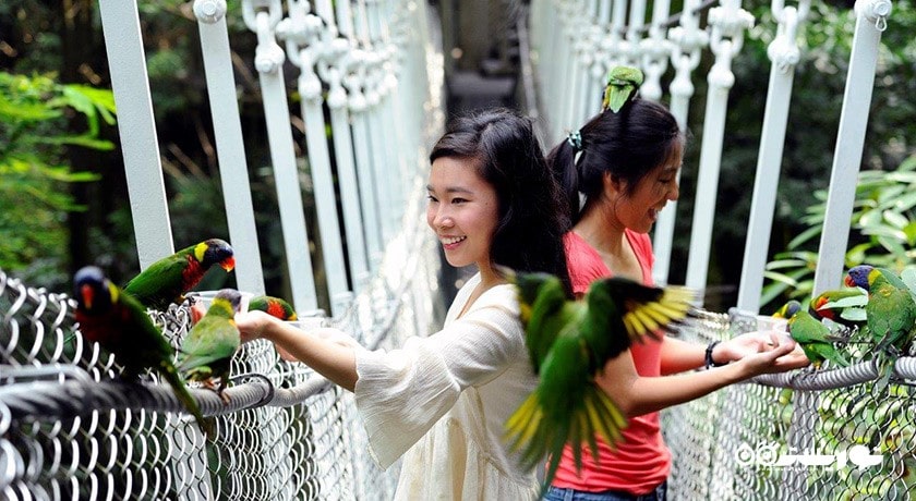 باغ پرندگان جورونگ -  شهر سنگاپور